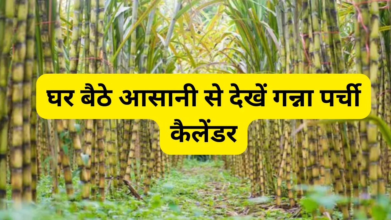 cane up.in :cane up.in | cane up | up cane | up cane enquiry | cane up in | sugar cane | cane up.in 2024 25 | up cane | enquiry | Ganna Parchi