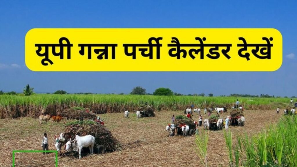 cane up.in ऑनलाइन गन्ना पर्ची कैलेंडर देखें