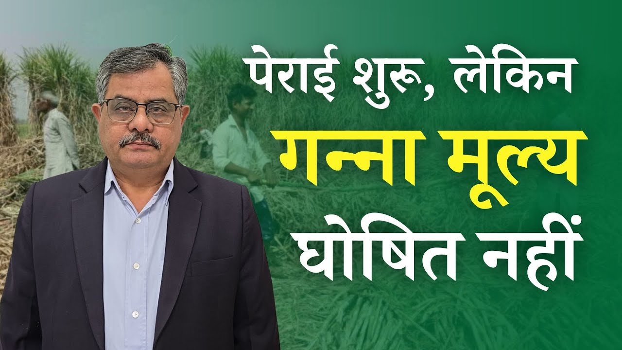 Sugarcane Price : यूपी में पेराई सत्र शुरू होने के बाद भी नहीं बढ़े गन्ने के दाम, जानें कब होगा ऐलान?